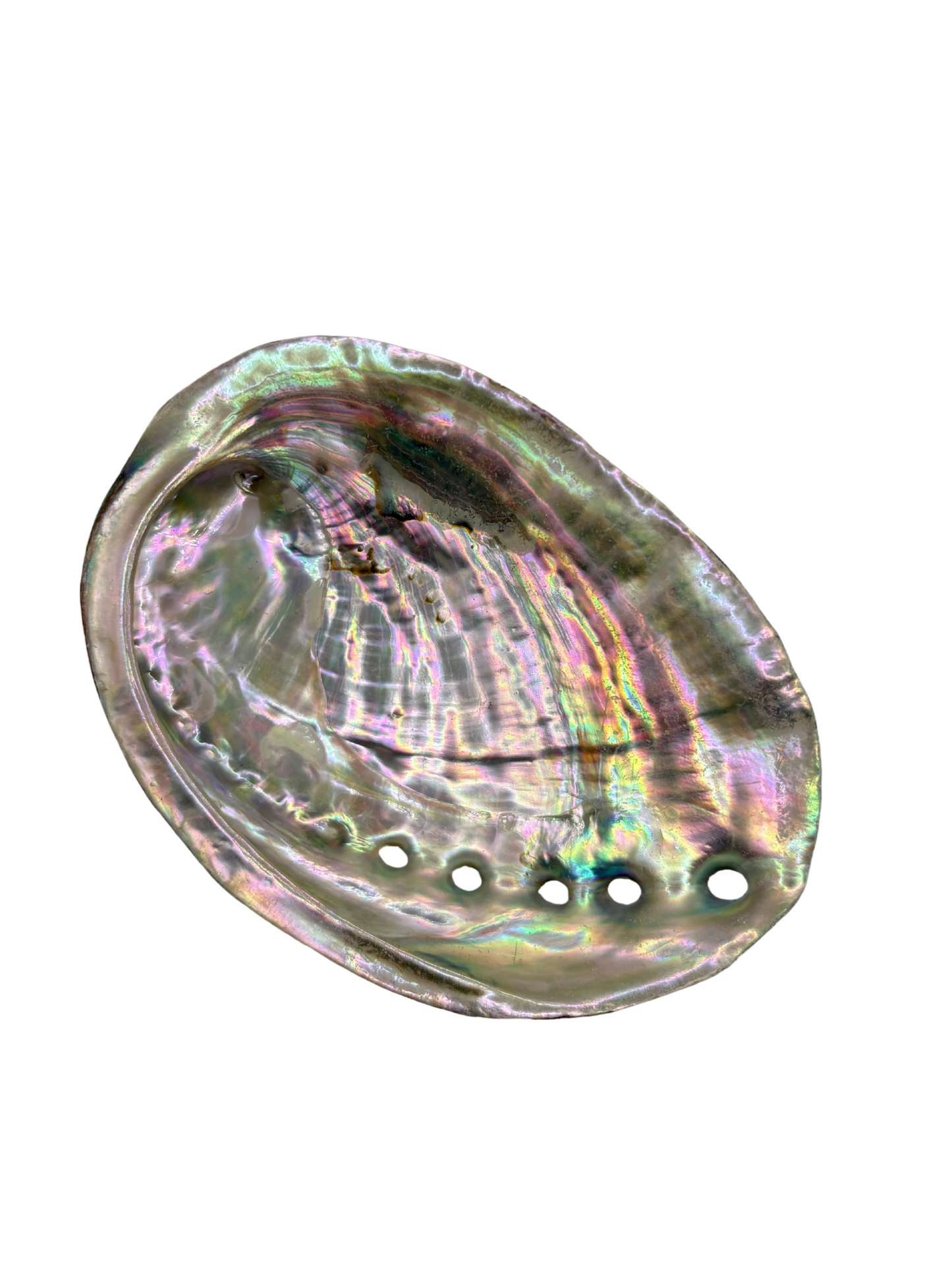 Shell glass