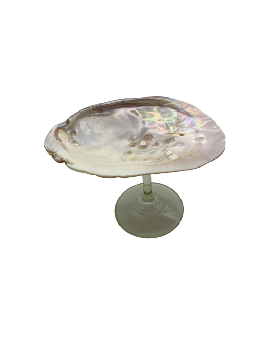 Shell glas