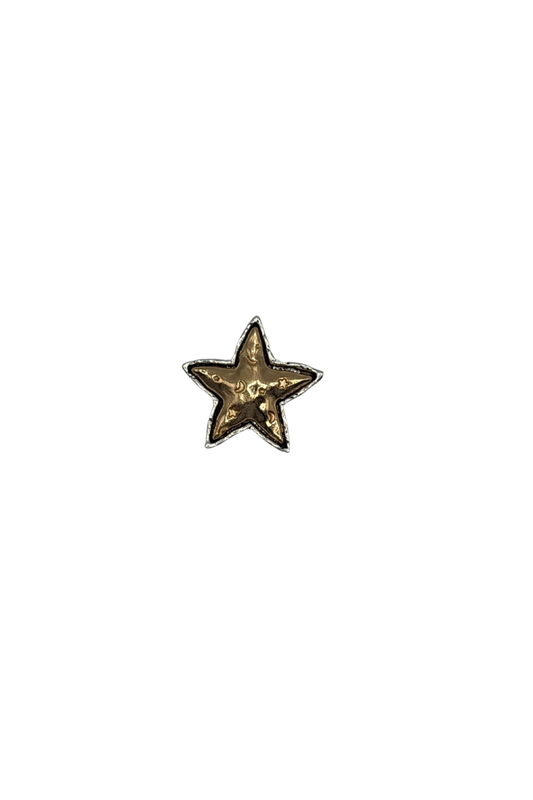 Star broche